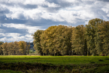 Fototapeta premium landscape with green meadows white ancient church against the backdrop of a stormy sky