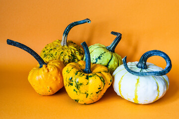 pumpkin on a orange background