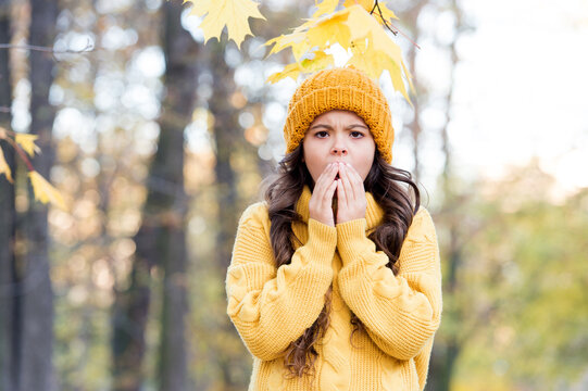 little girl warm hands in autumn nature. small girl wear knitted hat and sweater. child feel cold fall weather in forest. kid in autumn park. kid fall clothes fashion. beauty style