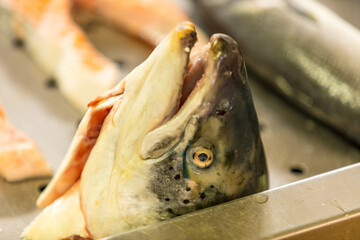 Fisch auf dem Markt