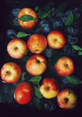 apples and plums