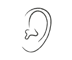 Ear on a white background. Sketch. Vector illustration.