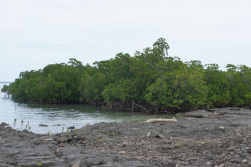 A deserted coast of the Pacific Ocean on one of the islands of the Fiji archipelago