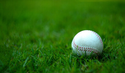 White baseball ball on green grass