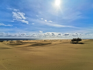 Dunas de Maspalomas