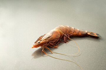 crude uncooked Prawn  on a grey stone kitchentable