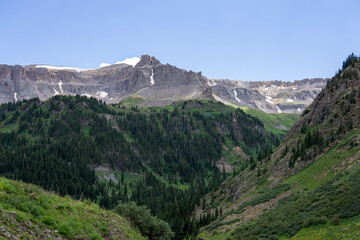 Rocky Mountain forest panorama