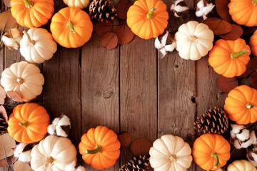 Fall frame of orange and white pumpkins with autumn decor. Above view on a rustic dark wood background with copy space.