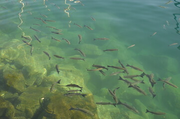 Sunset over the Amadores beach on the stunning island of Gran Canaria in Spain