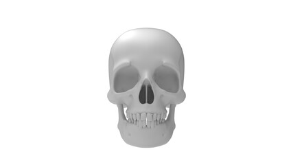 3D rendering of a human skull head bone person isolated