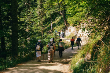 Obraz premium Sochi, Russia, 17 September 2020 -group of tourists walking in a mountain road