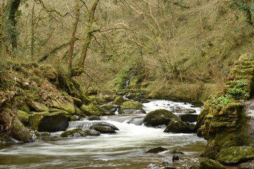 Long exposure shot of a river in the forest, smooth flowing water- National Trust Watersmeet
