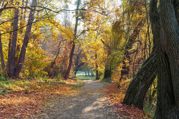 Fototapeta na wymiar Footpath in a beautiful colorful autumn park