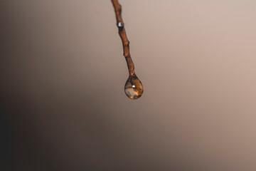 macro fotografía de gota de agua