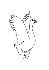 drawing line, animal, a continuous line