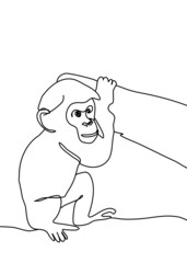 drawing line, monkey, animal, a continuous line