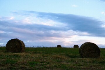 Baloty w Polsce © Jacek