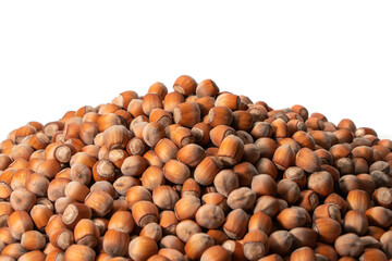 Copyspace background composition with the borders made of hazelnuts isolated over the white background