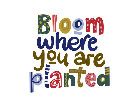 Bloom where you are planted. Hand drawn vector lettering quote. Positive text illustration for greeting card, poster and apparel shirt design.