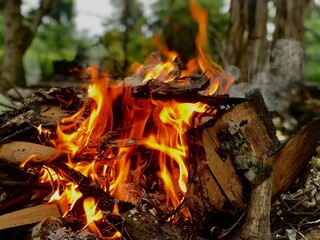flames burning trash and wood

