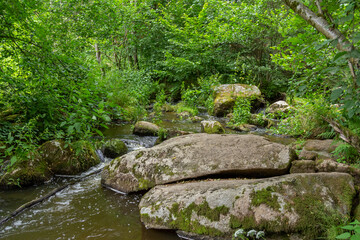 nature reserve in the Bavarian Forest