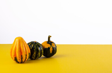 Decorative Pumpkins on Bright Yellow Background..