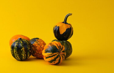 Decorative Pumpkins on Bright Yellow Background..