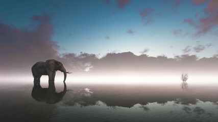 Lonely elephant stands on foggy lake at sunset