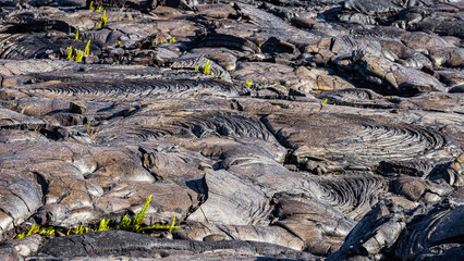 Volcanic landscape. Amazing scenery. Hawaii.