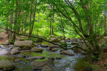 nature reserve in the Bavarian Forest