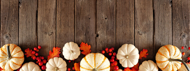 Autumn border of white pumpkins and red fall leaves. Top view on a rustic wood banner background...