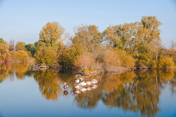 Koldinger See-Laatzen