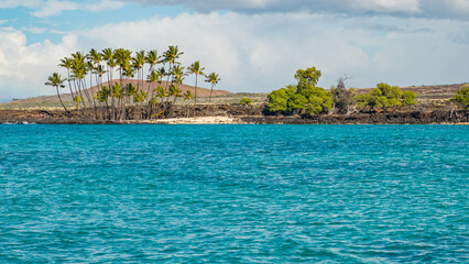 Beautiful palms on the shore. Large boulder among the waves in the sea. Hawaii