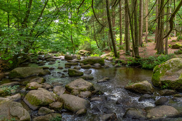 Obraz premium nature reserve in the Bavarian Forest