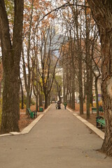 Obraz premium Beautiful autumn colors in Chisinau in Moldova, Eastern Europe