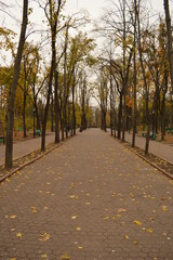 Beautiful autumn colors in Chisinau in Moldova, Eastern Europe