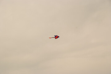 Black and red kite flying high in the sky