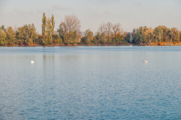 Koldinger See-Laatzen