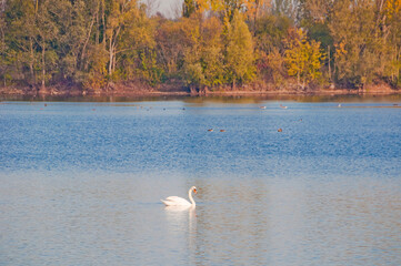 Koldinger See-Laatzen