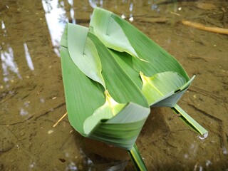 Bambo leaf boats