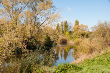 Koldinger See-Laatzen
