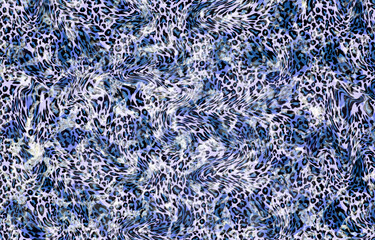 abstract leopard print texture design	
