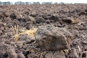 Plowed field with soil after harvest in autumn.  Close-up of big soil clod.