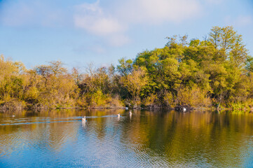 Koldinger See-Laatzen
