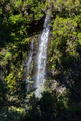 Fototapeta na wymiar Waterfall at the 25 Fontes - hiking trail on the island of Madeira, Portugal