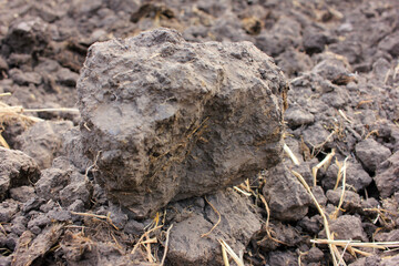 Plowed field with soil after harvest in autumn.  Close-up of big soil clod.
