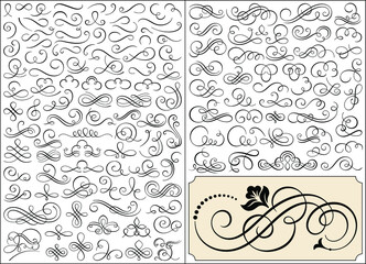 Calligraphic elements vector set 