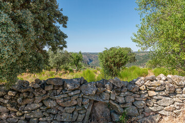 Lands overlooking rivern canyon