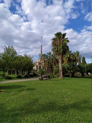 trees in the park