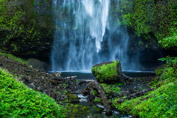 Fototapeta premium waterfall in the forest